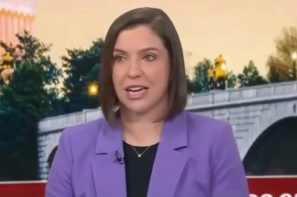 Lindsay Chervinsky at MSNBC during the day of presidents, wearing a purple jacket